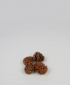 dekorera med kottar kottar